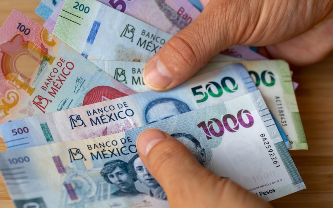 Aumento al Salario Mínimo General de 207.44 a 248.93 pesos para 2024