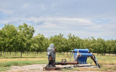 Chihuahua tiene gran potencial para cambiar de energías petrolíferas a limpias: AEDE.