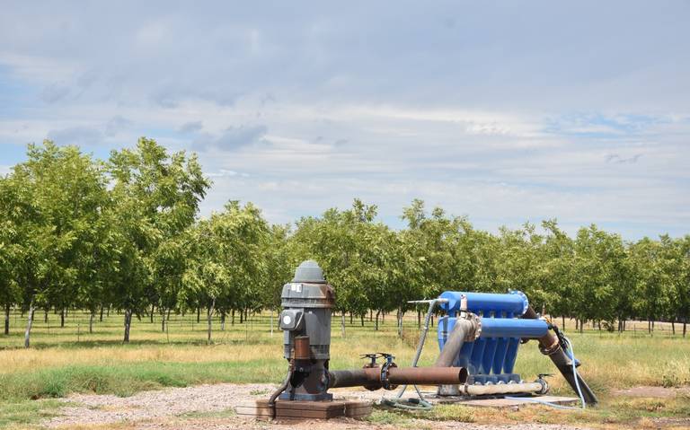 Chihuahua tiene gran potencial para cambiar de energías petrolíferas a limpias: AEDE.